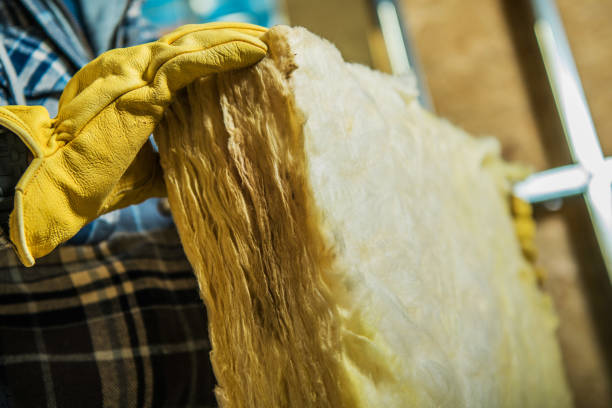 Best Insulation Removal Services  in Albion, IN